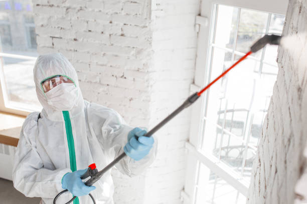Best Crawl Space Mold Remediation  in Gadsden, AL