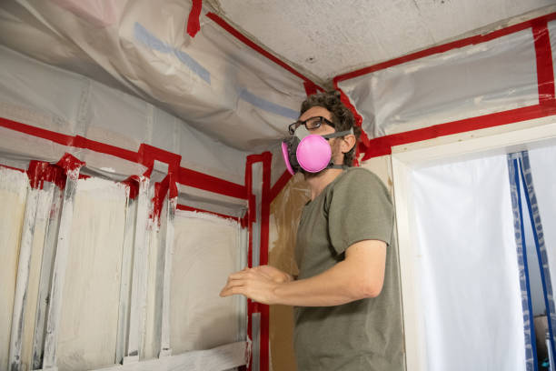  Gadsden, AL Mold Removal Pros