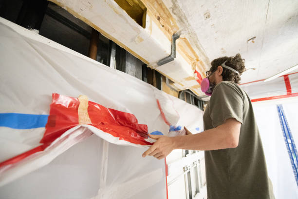 Best Black Mold Removal  in Gadsden, AL
